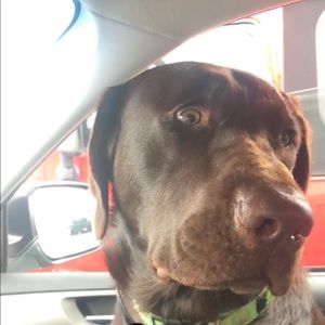 Meet your Posher, Sloane